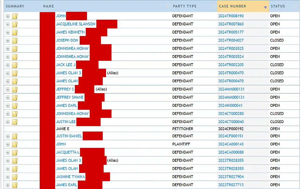 A screenshot shows the case search results from the Clay County Clerk of Court and Comptroller website, which displays a clickable folder icon to proceed with viewing the case summary, which includes information such as the complete name, party type, case number and status.